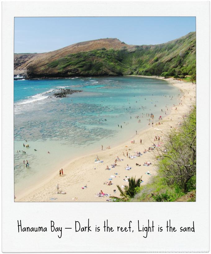 The Best of Oahu in a Day - Great Beaches, Great Reefs & the Greatest Generation.