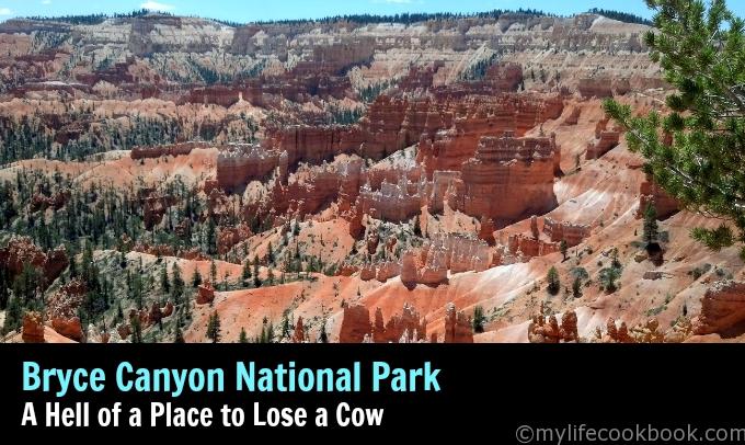 Enjoy this day trip to Bryce National Park.