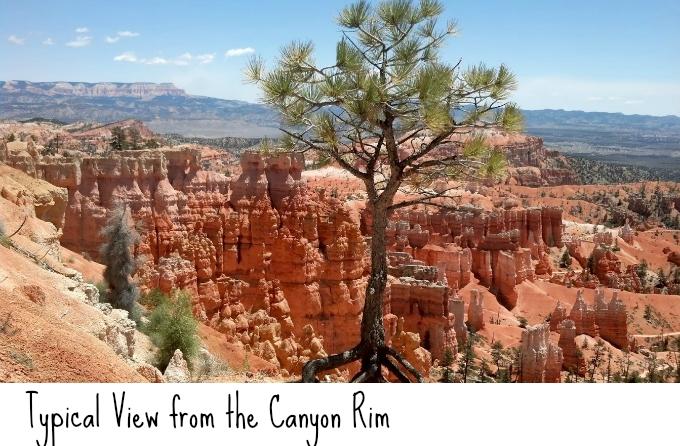 Enjoy this day trip to Bryce National Park.