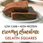 Chocolate gelatin squares on plate with text overlay.
