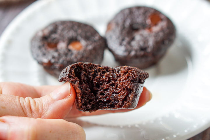 fingers holding a mini sugar free chocolate muffin with a bite taking out.