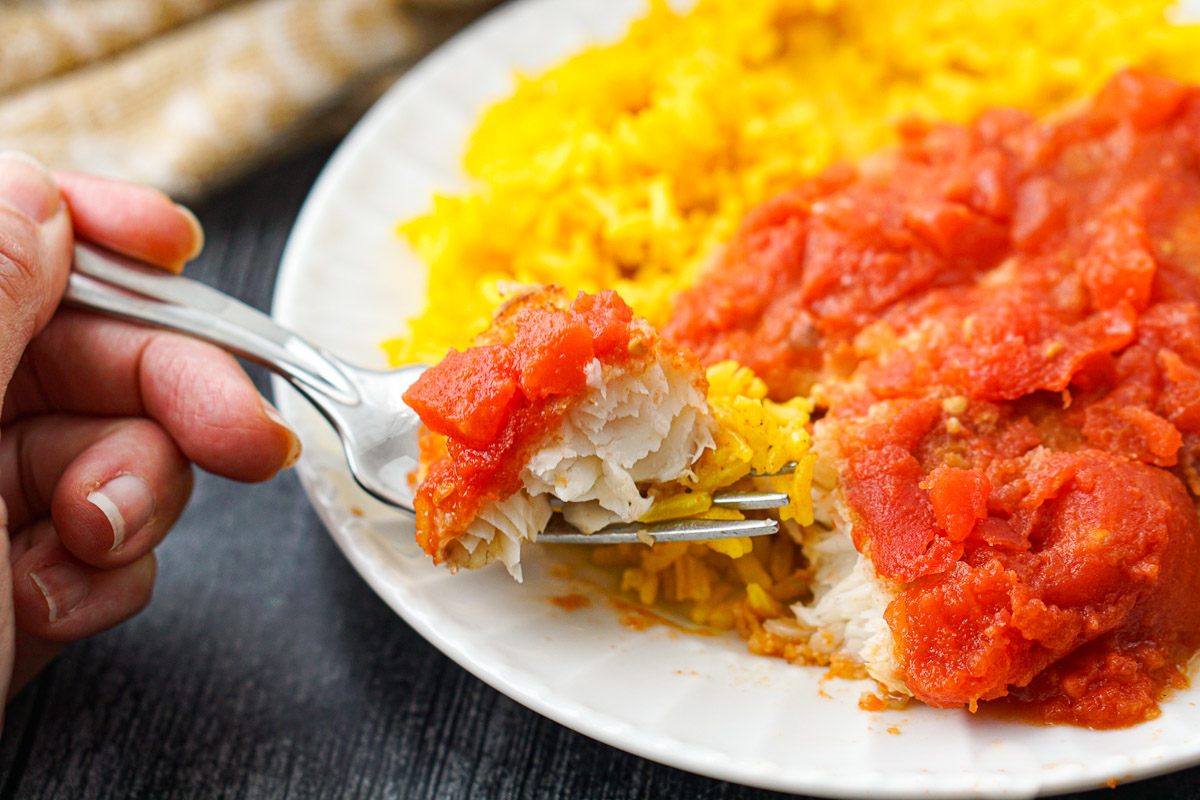 a forkful of pan fried breaded tilapia with tomatoes and rice