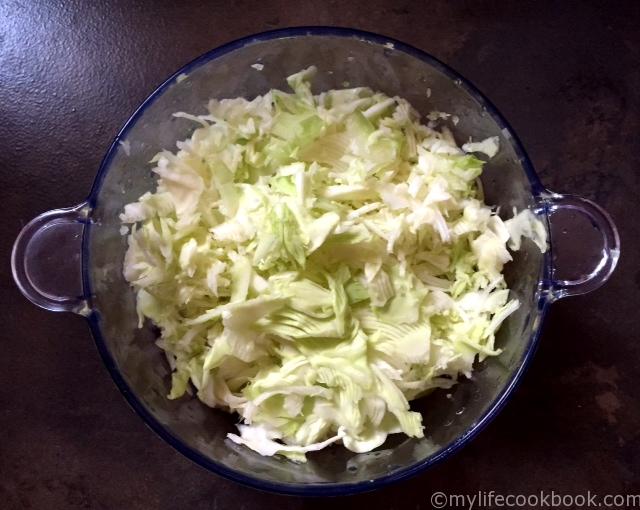 raw cabbage noodles in container