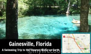 Day Trip - Gainesville, FL - A Swimming Trip to the Clearest Water on Earth