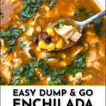 closeup of a bowl of Mexican chicken enchilada soup and text