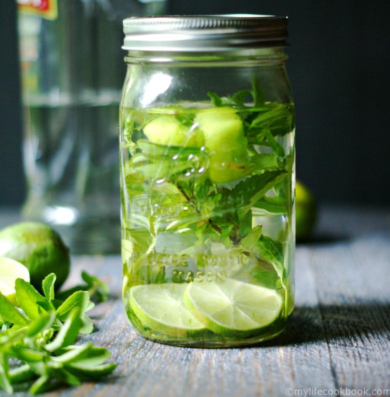 This mojito infused vodka makes the perfect Paleo or low carb drink. Infused vodka with stevia leafs, mint and lime peels for a delicious beverage!