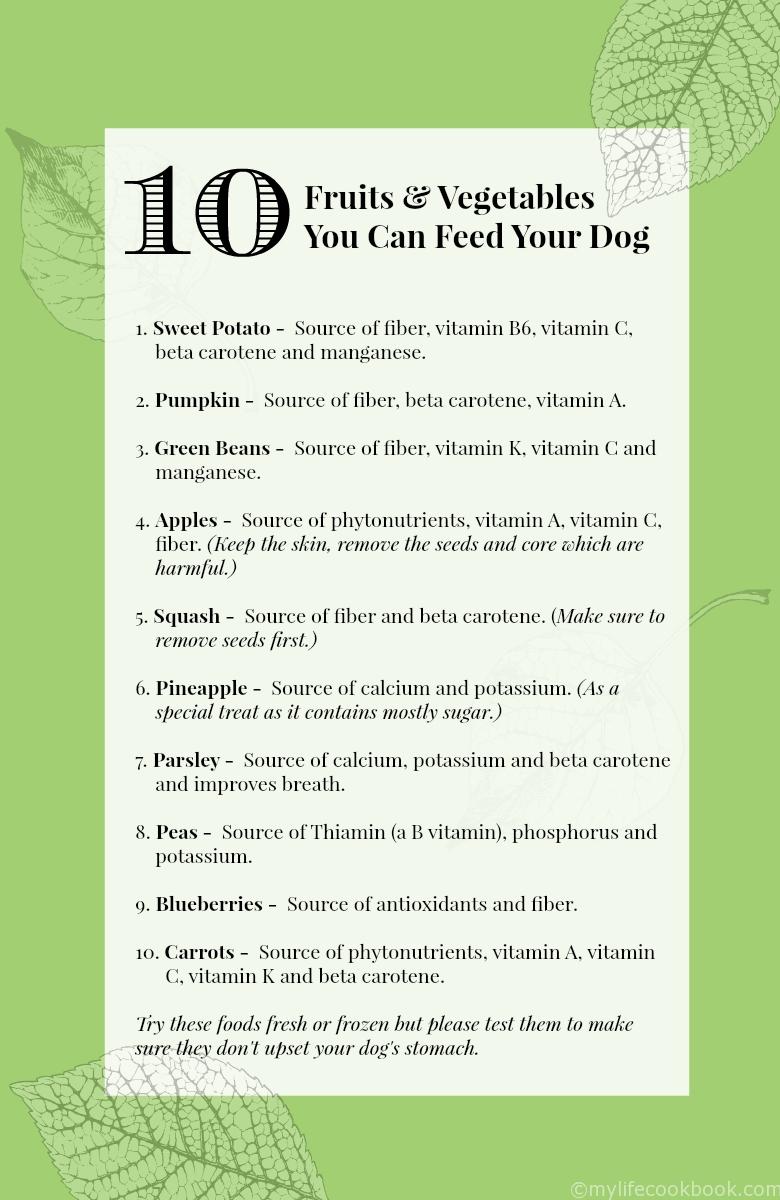 healthy dog treat recipes