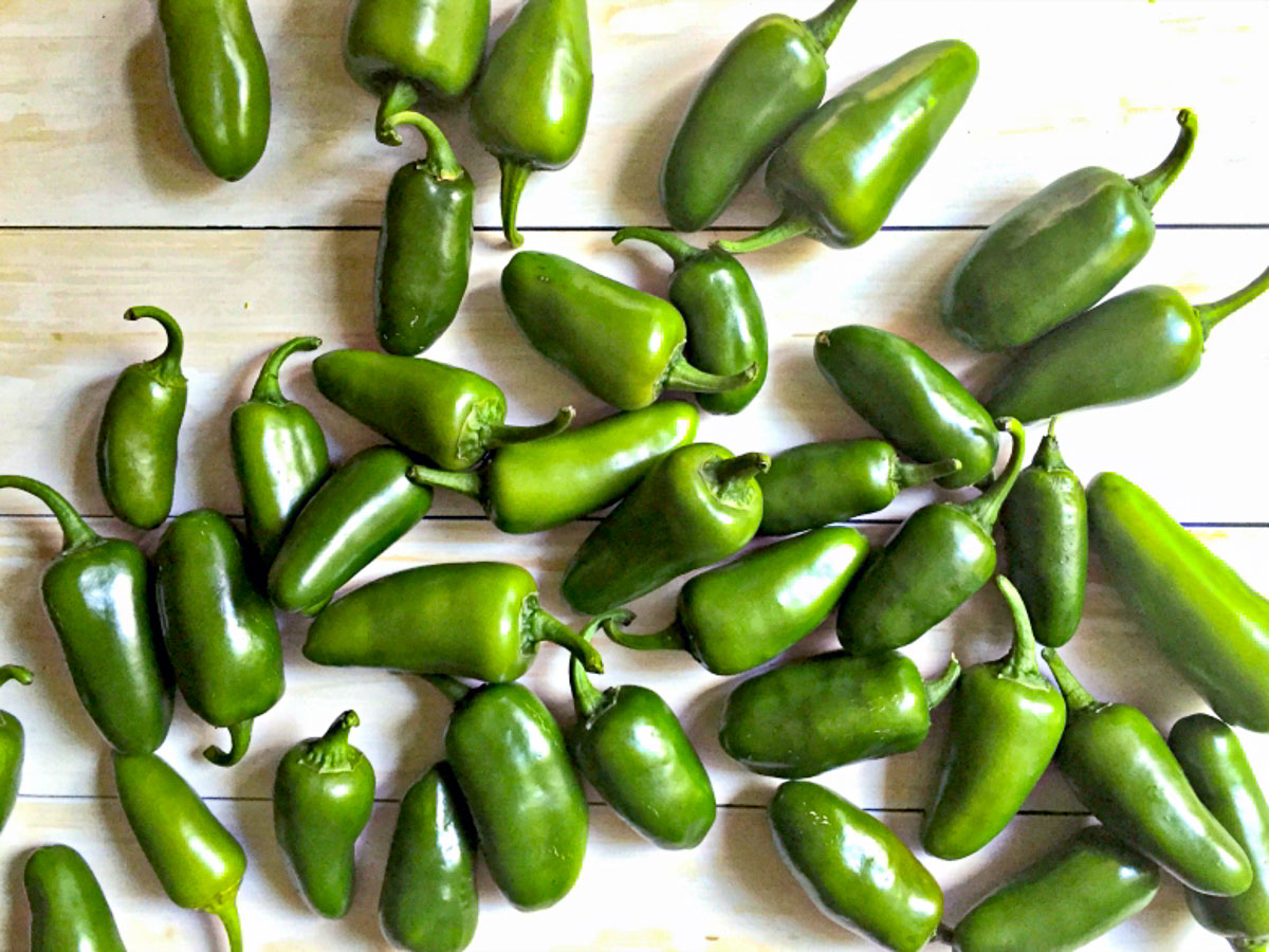 raw jalapeno peppers on counter