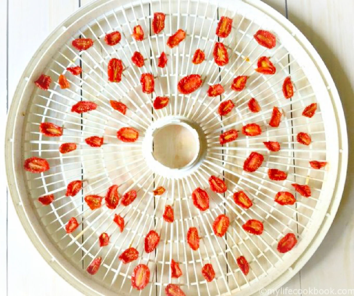 Dehydrator tray with the finished dried tomatoes.