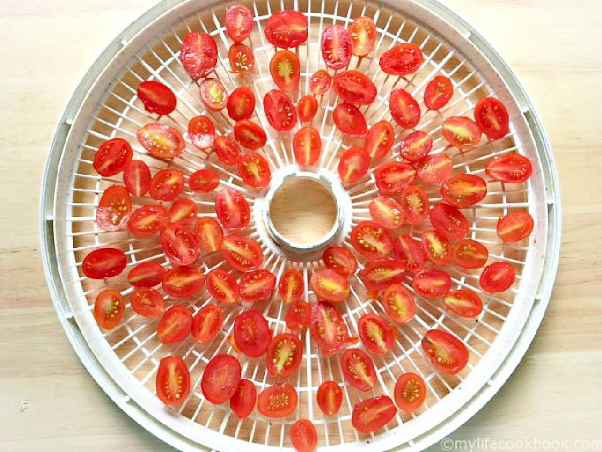 Dehydrator tray with sliced raw tomatoes.