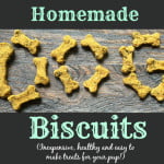 These easy to make dog biscuits are very inexpensive and healthy for your little pup.