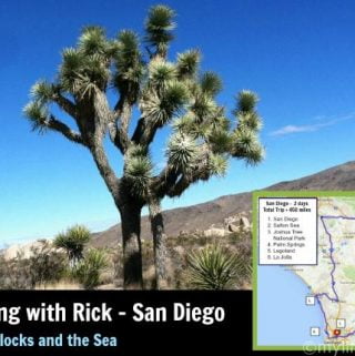 This is a 2 day trip around San Diego including Joshua Tree National Park, Palm Springs and more.v