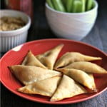 This easy buffalo chicken dip and wontons recipe is the perfect party food especially for game day parties.The wontons make great finger food and the dip can be used with veggies or chips.