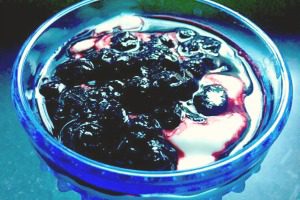 coconut-yogurt-blueberry