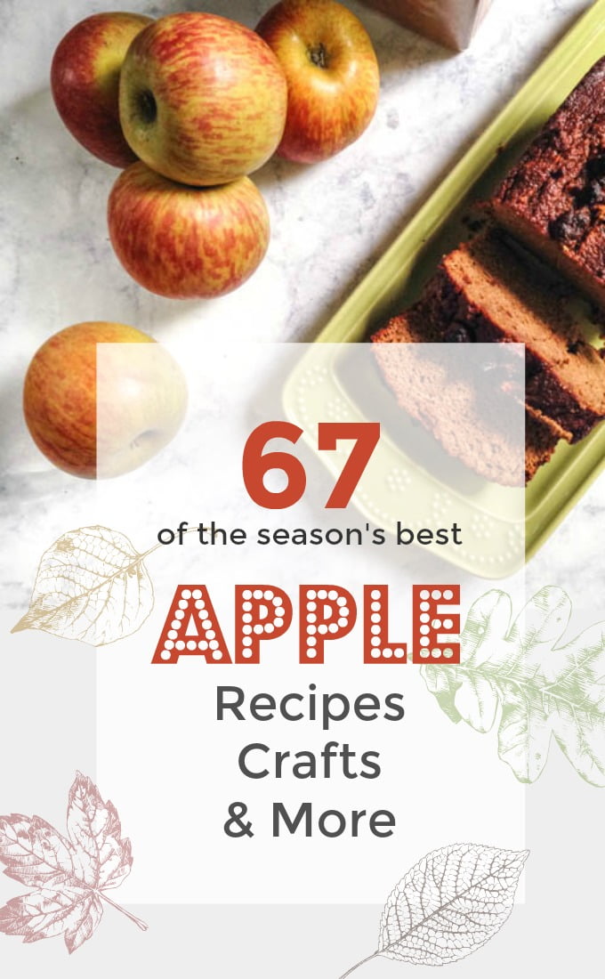 67 of the season's best apple recipes, crafts, activities and more! #SoFabSeasons
