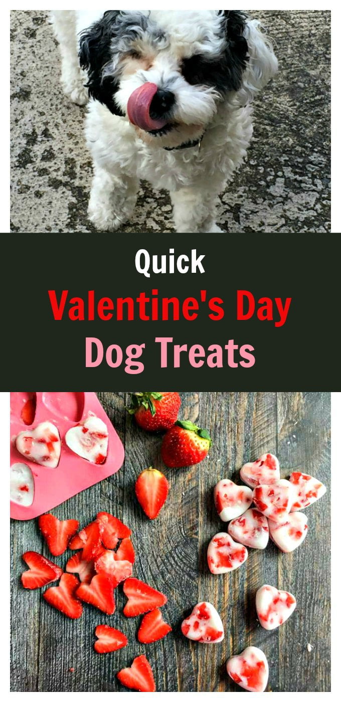 Quick Valentine's Day Dog Treats My Life Cookbook