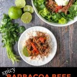 white bowl and salad with spicy barbacoa beef with text overlay