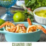 blue bowl with shrimp cocktail with cilantro and avocado dip