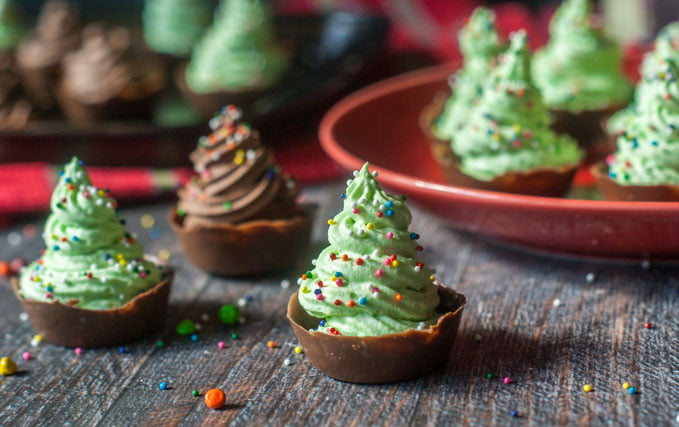 Chocolate Christmas Tree Mousse Cups With Low Carb Version Too,Chameleon Petsmart