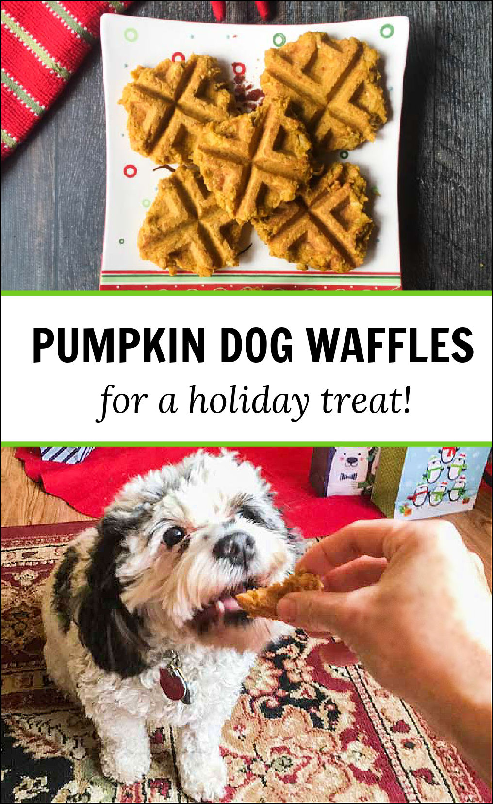 Homemade Pumpkin Dog Waffles for Christmas easy, healthy dog treat!