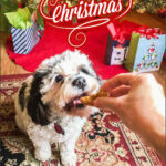 dog eating a Christmas pumpkin dog waffle