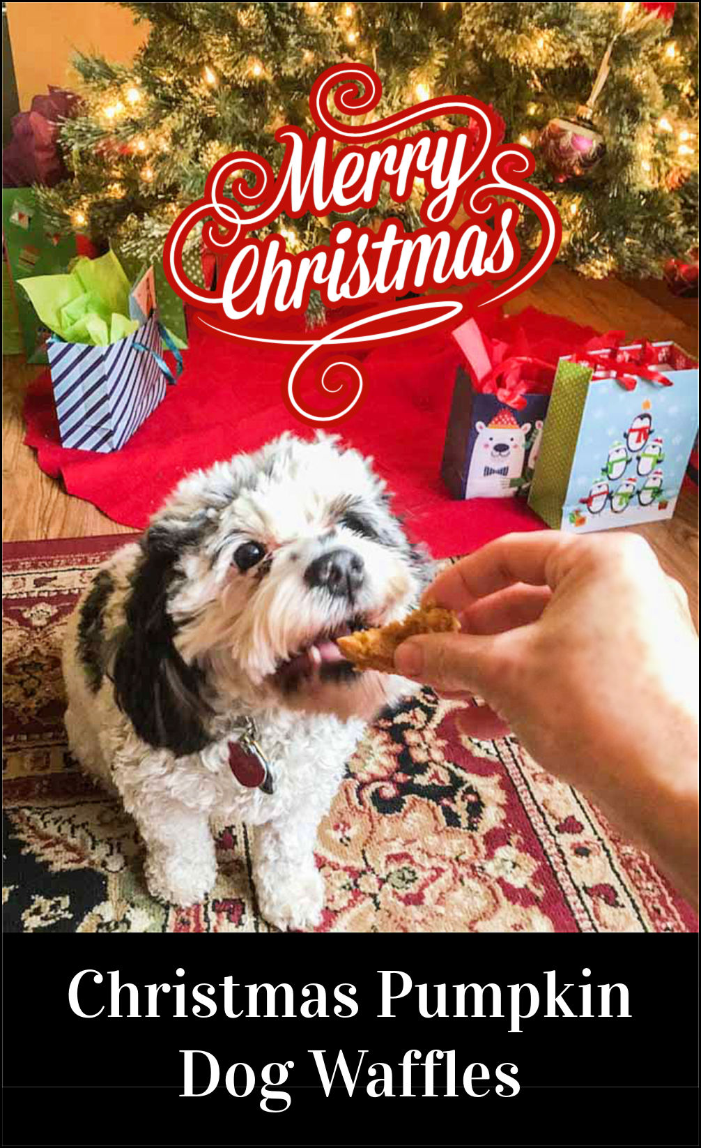 Homemade Pumpkin Dog Waffles for Christmas easy, healthy dog treat!