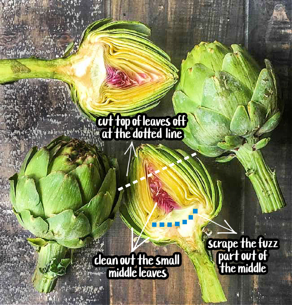 raw artichokes diagram of how to cut