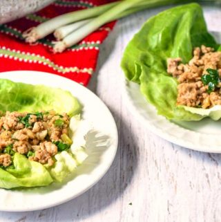 These scallion & ginger chicken lettuce cups are such an easy and healthy recipe that is perfect for the summer weather. Chicken lettuce cups make for a delicious low carb dinner or lunch or even appetizer.  Only 5.4g net carbs per serving.