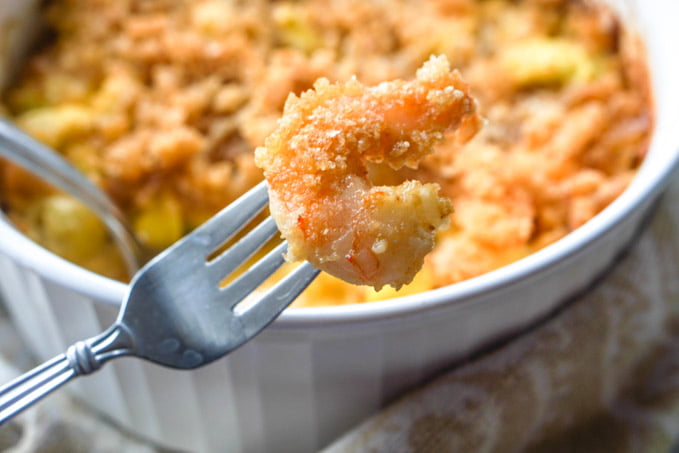 photo of a fork with a shrimp on it and Mac and cheese in the background.