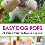 dog licking banana pop and dog pops in their containers with text overlay