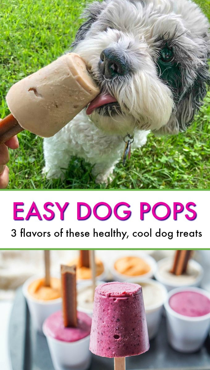 dog licking banana pop and dog pops in their containers with text overlay