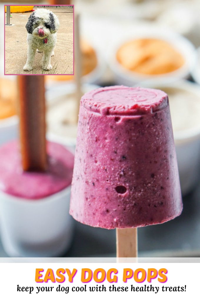 Easy Dog Pops 3 Flavors To Treat Your Pup This Summer! My Life Cookbook