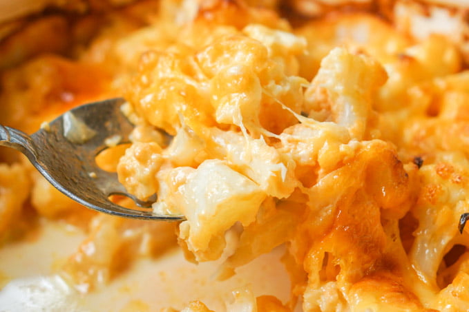 closeup of a spoonful of low carb cauliflower and cheese