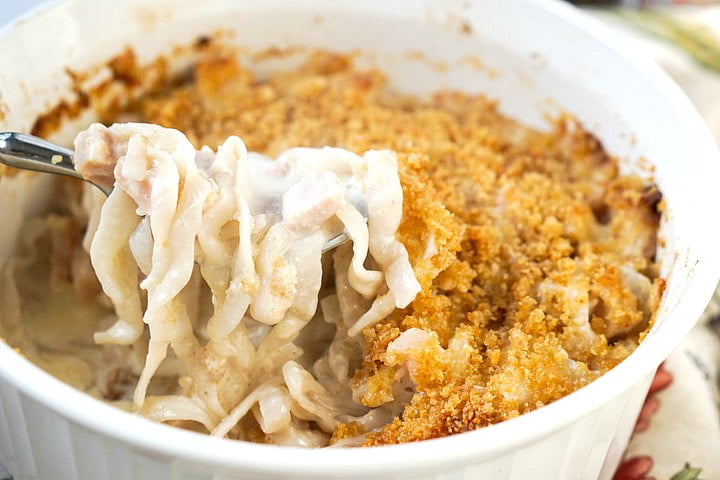 forkful of wonder noodles in casserole