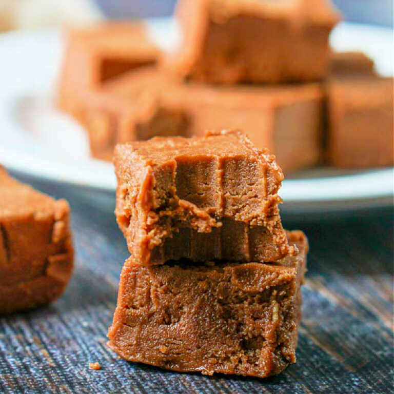Sugar Free Hazelnut Fudge 5 Ingredient Easy Keto Snack!