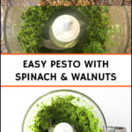 food processor bowls with stages of making pesto with text