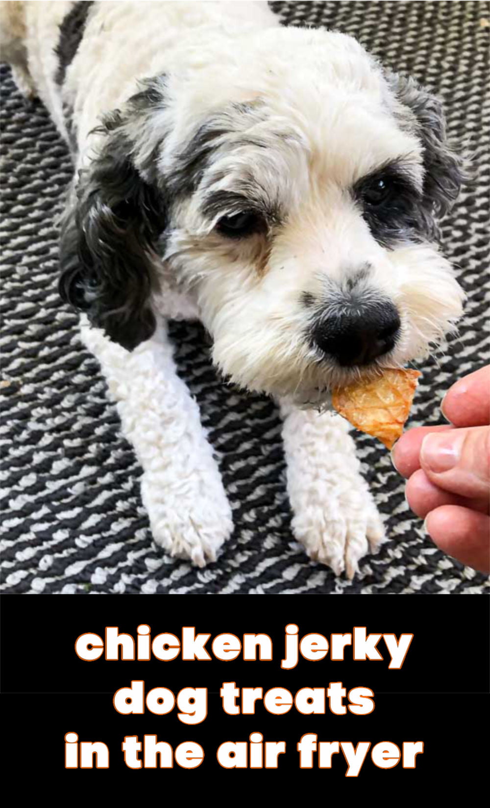 Homemade Chicken Dog Jerky Treats in the Air Fryer healthy dog snacks