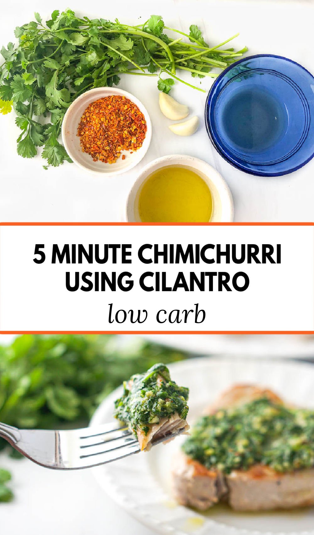 Easy Cilantro Chimichurri Sauce for Tuna Steaks healthy, low carb dinner!