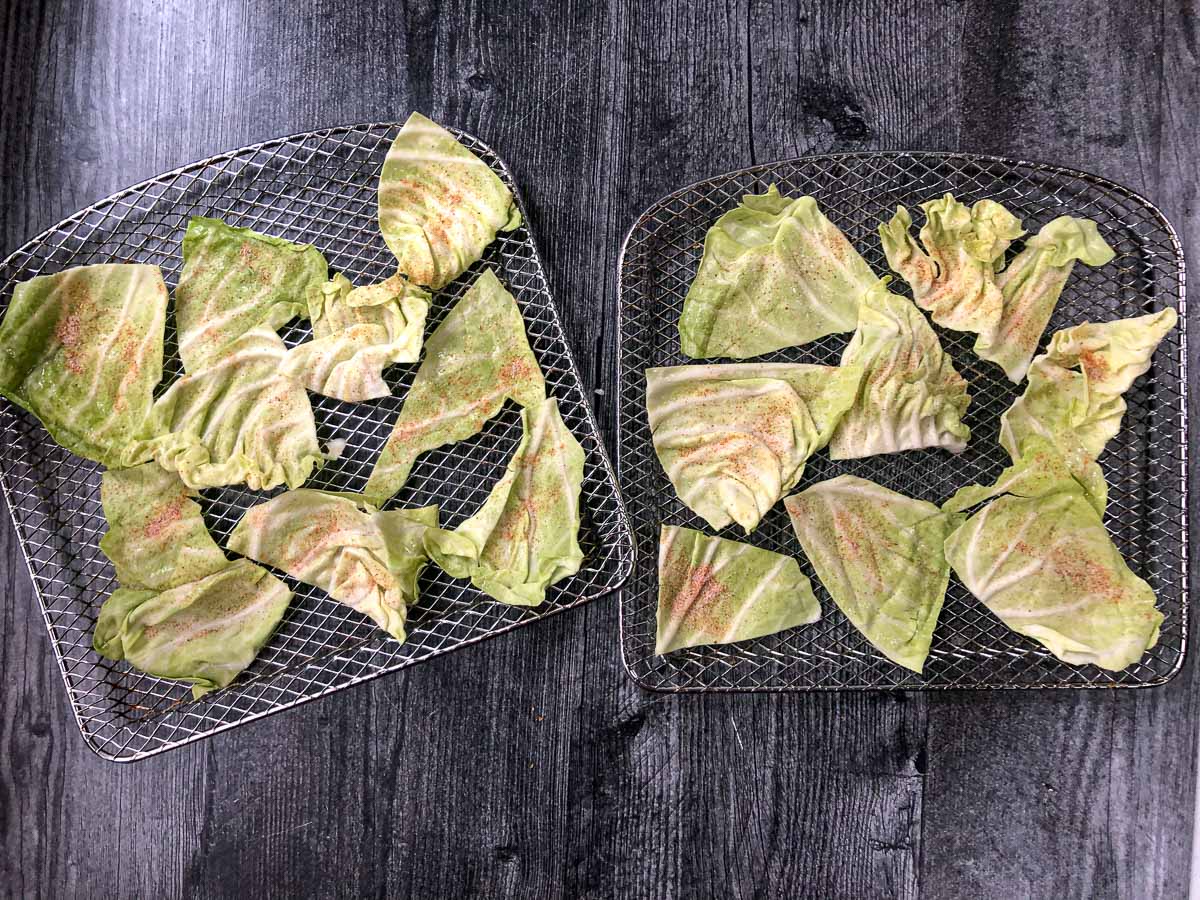 air fryer trays with raw veggie leaves