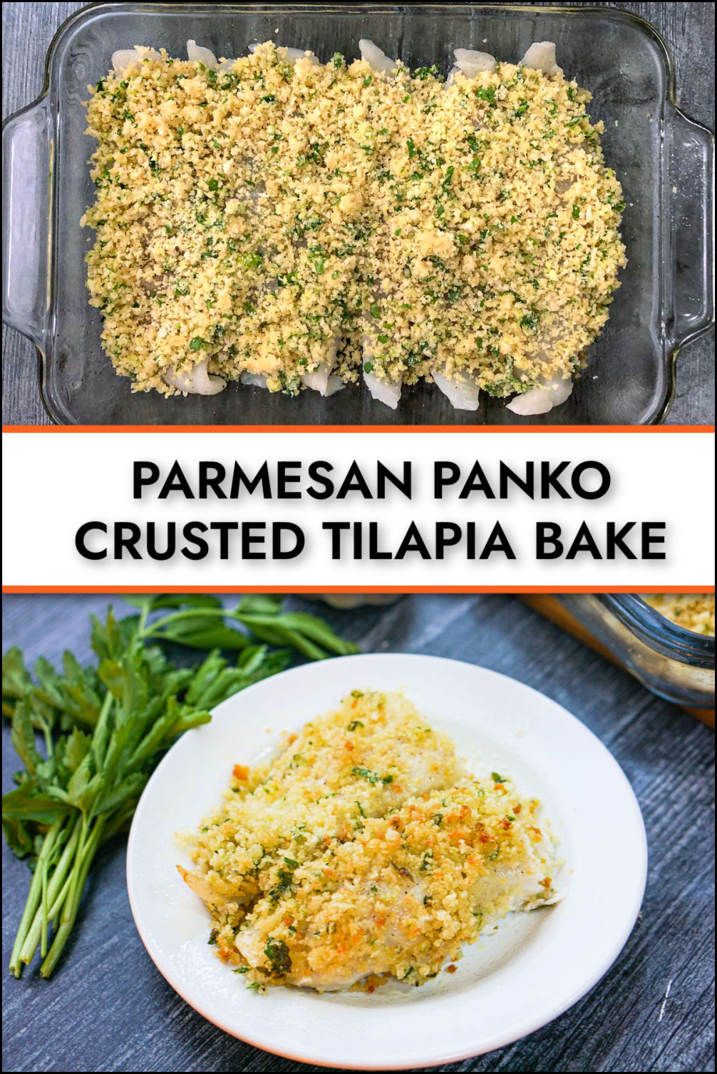 Easy Parmesan Panko Crusted Tilapia Bake seafood dinner in 30 minutes