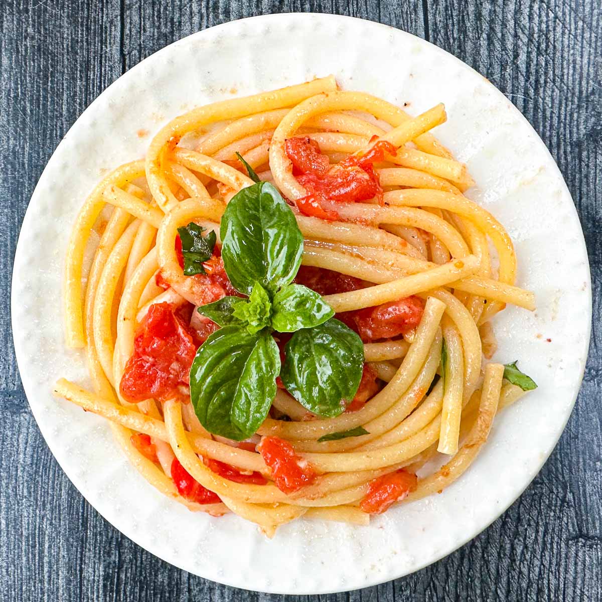 white plate with fresh tomato pasta and basil