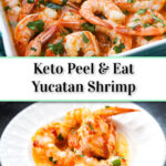 a blue baking dish and white plate with keto Yucatan shrimp with fresh limes and cilantro and text