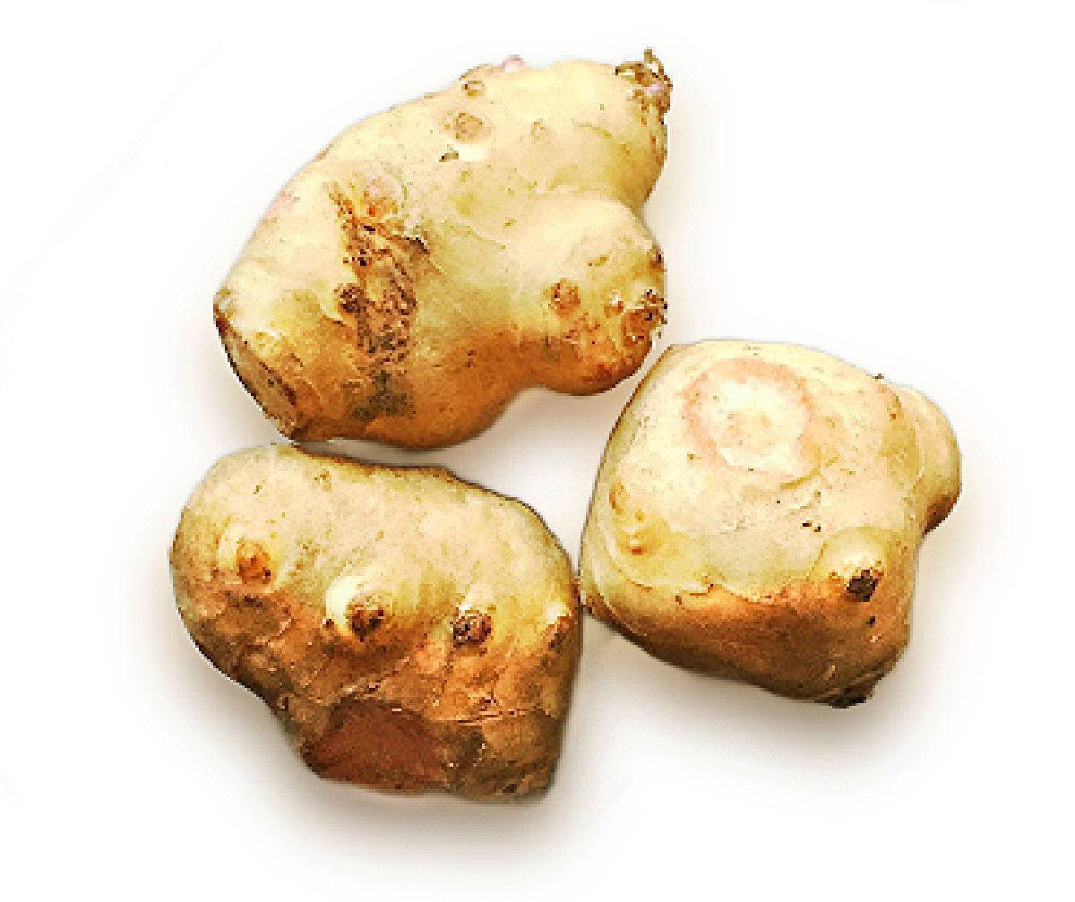 Aerial view of 3 fresh sunchokes. 