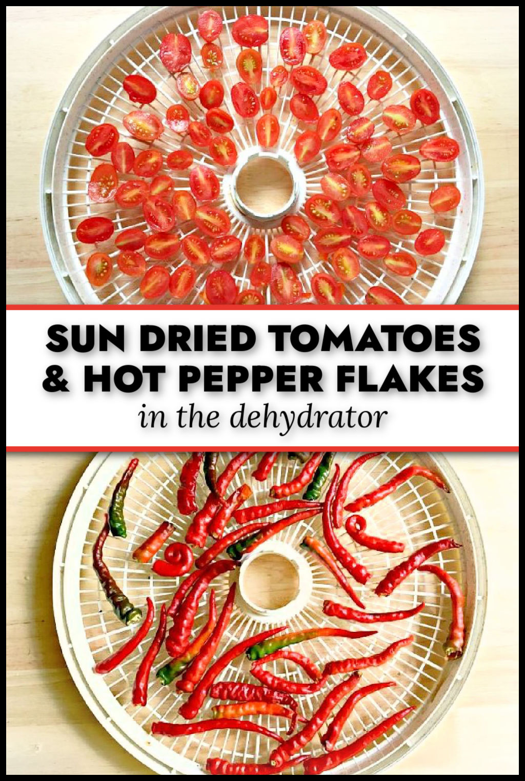 Dehydrator trays with a the fresh and dried cayenne peppers to make your own hot pepper flakes from garden peppers and text overlay.