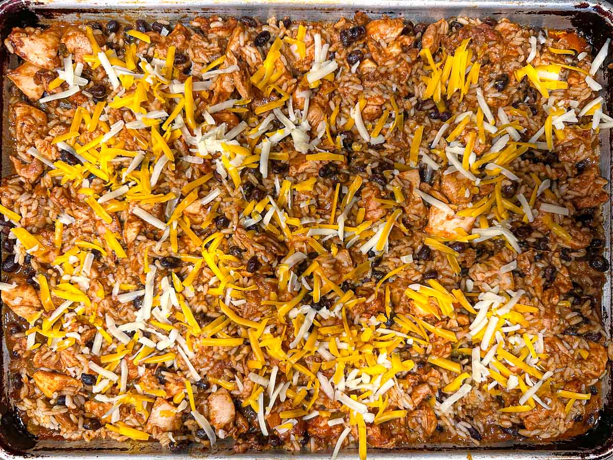 Sheet pan with the baked chicken mixture with more cheese added on top.